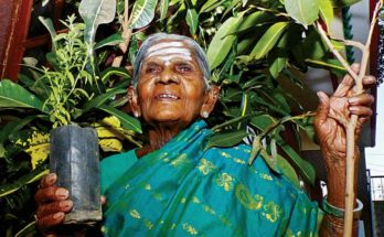 Saalumarada Thimmakka