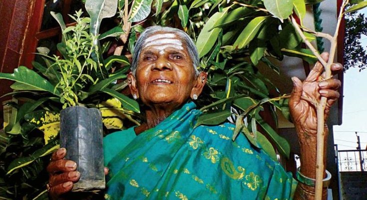 Saalumarada Thimmakka