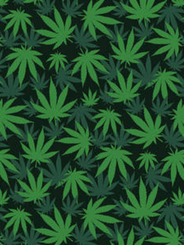 What is 420? “Weed Day” Why people celebrate 420 and the meaning behind the day