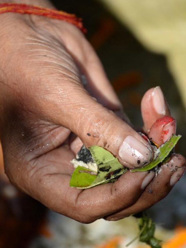 Purnima Shraddh 2022 Date, Timings, Rituals and Significance